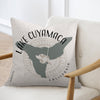 Pillow with Lake Cuyamaca California map and compass design on a chair.