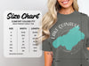 Comfort Colors 1717 heavyweight adult tee size chart with measurements.