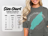 Comfort Colors 1717 heavyweight adult tee size chart with width and length measurements in inches.