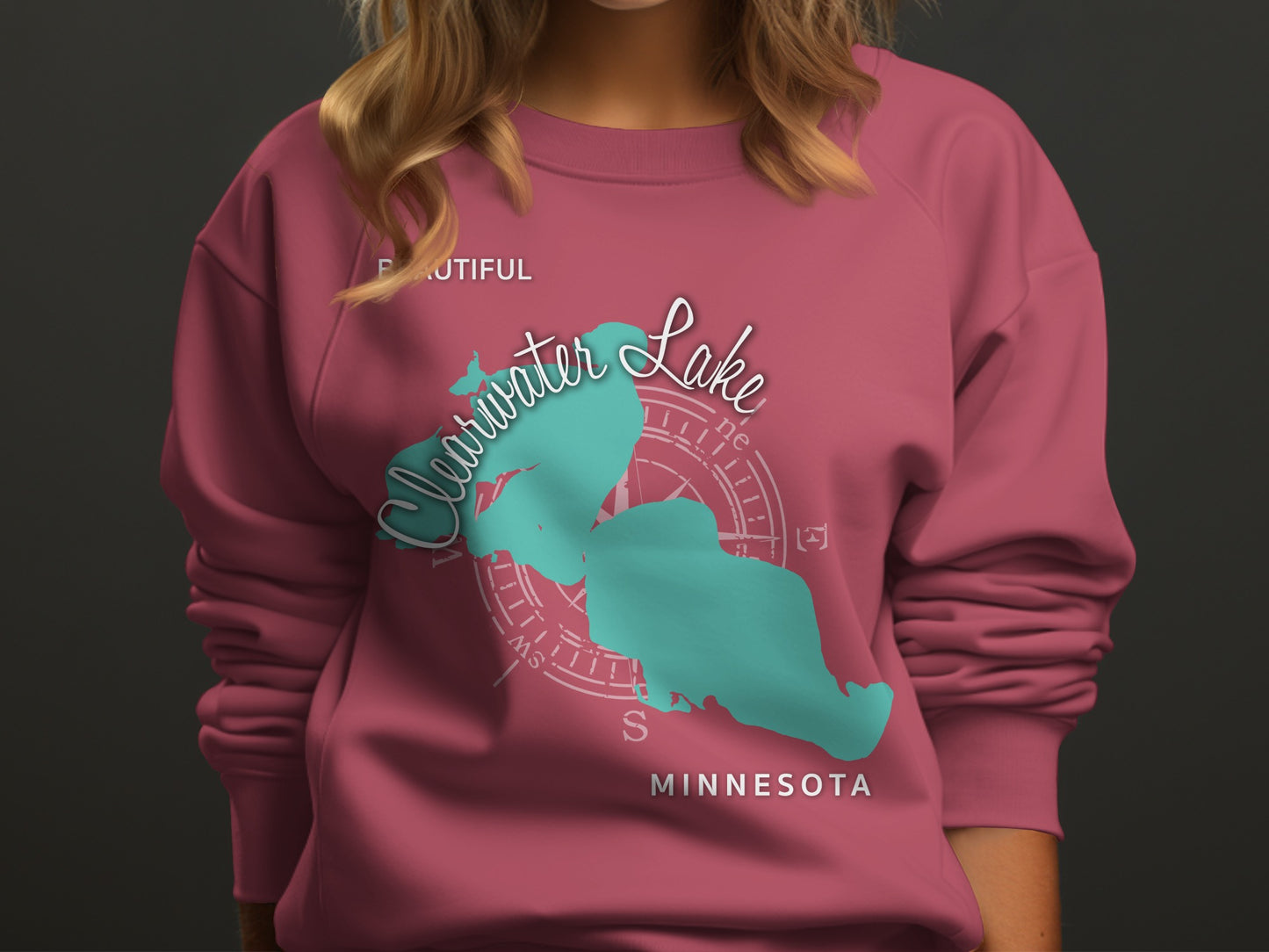 Teal lake silhouette with compass rose on pink sweatshirt.