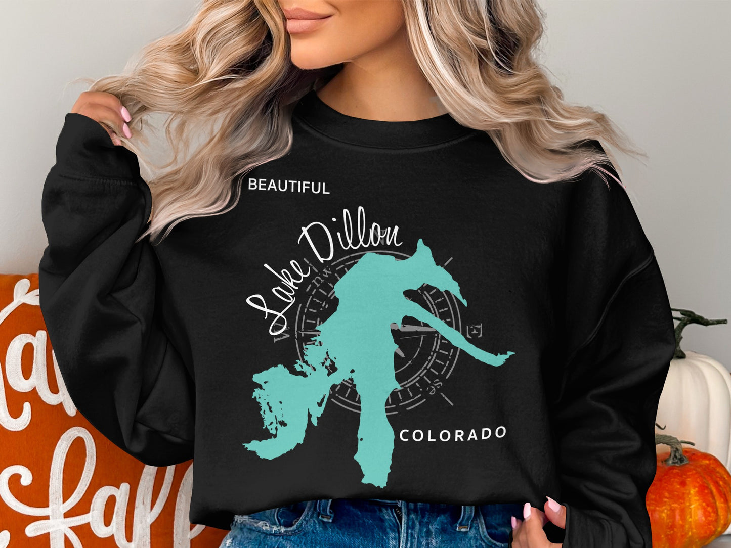 Black sweatshirt with "Lake Dillon Colorado" and a compass graphic.