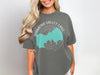 Gray t-shirt with "Diamond Valley Lake California" text and turquoise lake graphic.