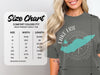 Comfort Colors 1717 heavyweight adult tee size chart with width and length measurements.