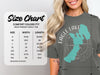 Comfort Colors 1717 heavyweight adult tee size chart with width and length measurements.