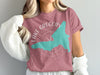 Teal Lake Gregory California outline on a pink t-shirt with compass details.