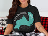 Black t-shirt featuring Mendenhall Lake Alaska map design with compass rose.
