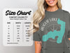 Comfort Colors 1717 heavyweight adult tee size chart with width and length measurements.