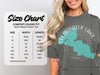 Size chart for Comfort Colors 1717 heavyweight adult tee with width and length measurements.