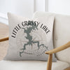 Pillow with map of Little Grassy Lake, Illinois and compass rose design.