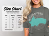 Comfort Colors 1717 heavyweight adult tee size chart with width and length measurements.