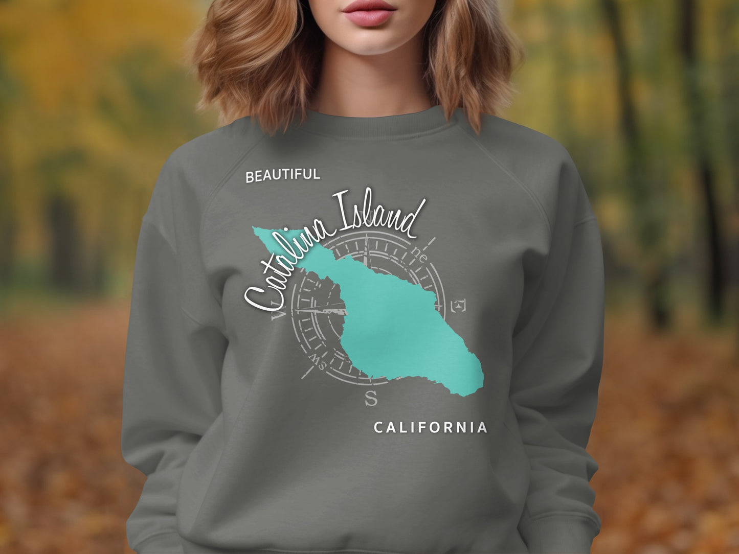 Gray sweatshirt with a teal map of Catalina Island and compass graphic.
