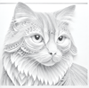 Coloring Book Free Illustration Download - Cat Eyes - Free Download From Paper Shadows