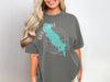 Gray t-shirt with a turquoise map of Gull Lake, Michigan and compass design.