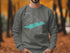 Gray sweatshirt with "Beautiful Dream Lake Colorado" text and compass graphic.