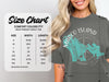 Size chart for Comfort Colors 1717 heavyweight adult tee with measurements in inches.