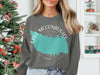Gray sweatshirt with Lake McConaughy Nebraska graphic and compass design.