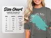 Comfort Colors 1717 heavyweight adult tee size chart with width and length measurements.