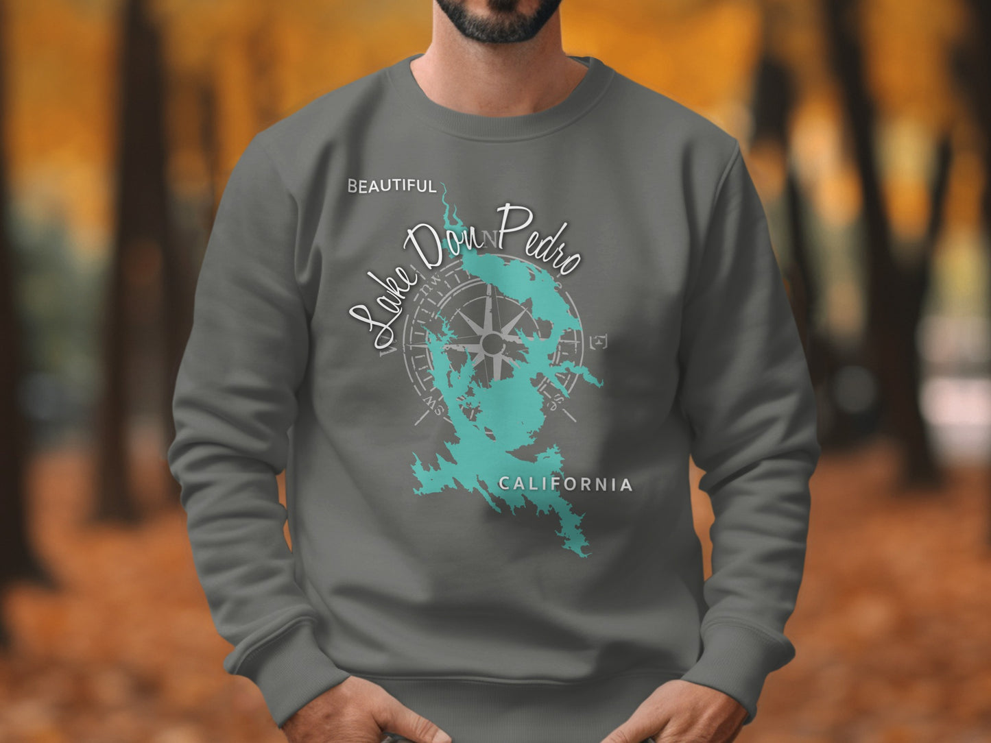 Gray sweatshirt with a teal map of Lake Don Pedro, California and compass.
